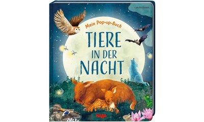 Mein Pop-up-Buch – Tiere in der Nacht (d)