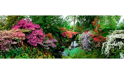 Bodnant Garden