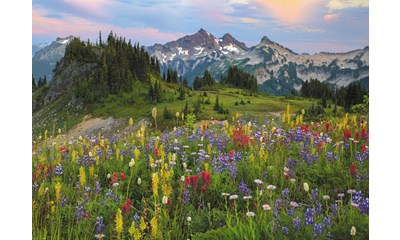 Tatoosh Mountains