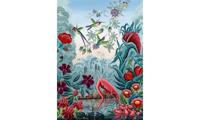 Bird Paradise