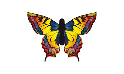 Drachen Butterfly Swallow. S