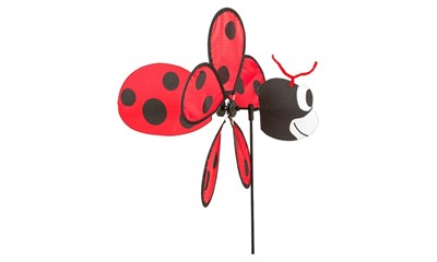 Ladybug