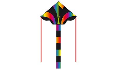Drachen Simple Radient Rain- bow, 120x75 cm, ab 5 Jahren, Griff mit 25 m Schnur,