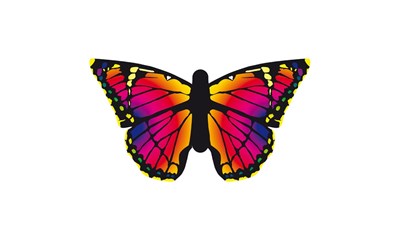 Drachen Butterfly Ruby, L