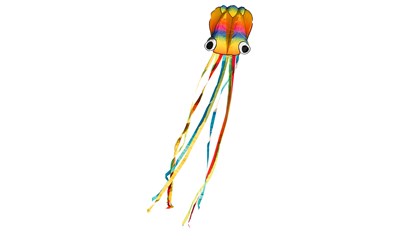 Drachen Rainbow Octopus 70x410 cm, ab 5 Jahren, inkl. Spule mit 40 m Schnur