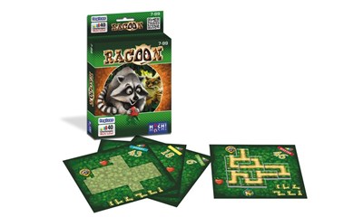 Racoon