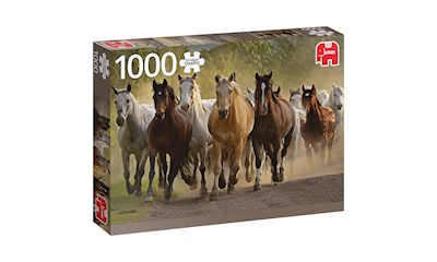 Puzzle eine Gruppe Pferde