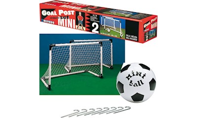 Goal-Set 2 Stk. Ball+Heringe
