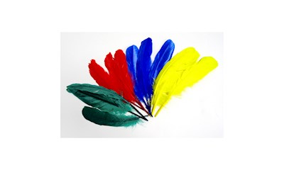 Federn bunt, 12 Stk. 15-18 cm, gelb, blau, grün, rot, Naturprodukt