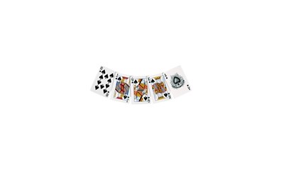 Pokerchips, Aluminiumkoffer