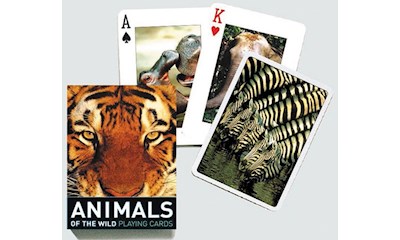 Animals of the wild, Poker, SF