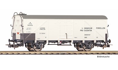 Kühlwg. Dänische Forellen DSB Ep III