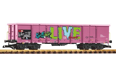 SBB Eaos Pink mit Graffiti Ep. VI