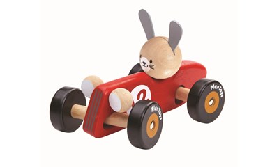 Hase im Rennwagen