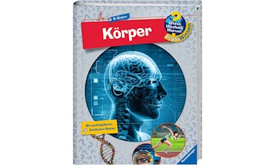 Körper