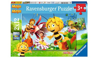 Auf der Blumenwiese