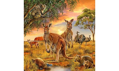 Tiere der Erde