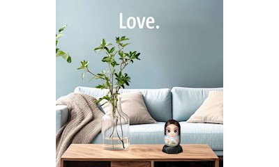 3D Puzzle: Hylkies Princess Leia