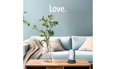 3D Puzzle: Hylkies Ghost Spider