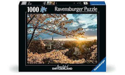 Kirschblüten in Bern