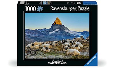 Meet the Sheep Zermatt