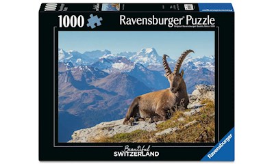 Steinbock im Toggenburg