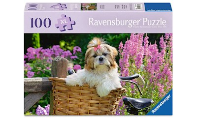 Feel Well - Sweet little Dog