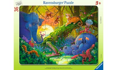 Sonnenuntergang im Dschungel 