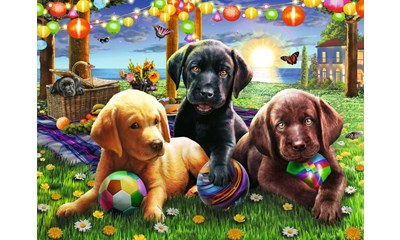 Hunde Picknick