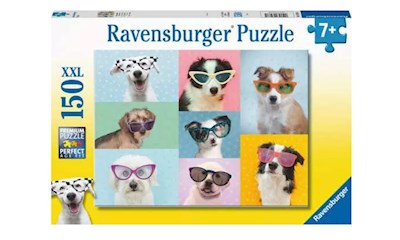 Witzige Hunde