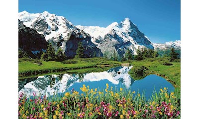 Berner Oberland, Schweiz