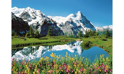 Berner Oberland, Schweiz
