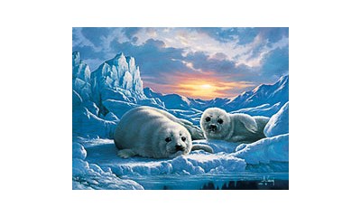 Robbenbabys im ewigen Eis