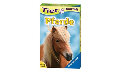 Pferde & Ponys
