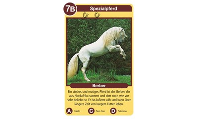 Pferde & Ponys
