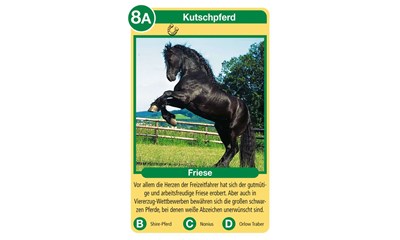 Pferde & Ponys