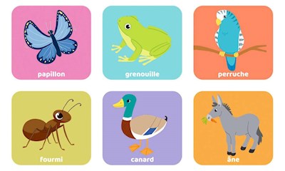 Loto Les Animaux Familiers