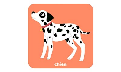 Les Animaux