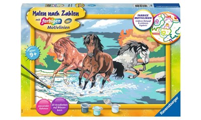 Stolze Wildpferde D