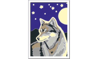 Portrait d'un loup F