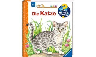 Die Katze