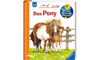 Das Pony