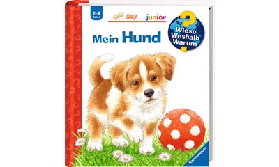 Mein Hund