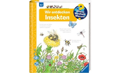 WWW 39 Wir entdecken Insekten