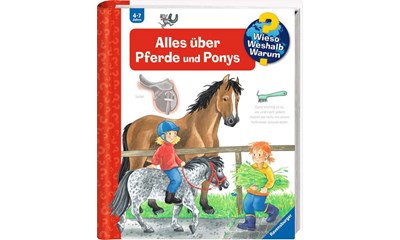 Alles über Pferde und Ponys