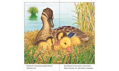 Ich bin die kleine Ente