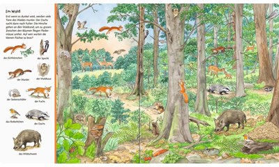 Mein grosses Sachen suchen: Tiere der Welt