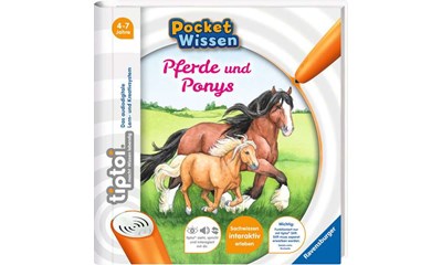 Pocket Wissen: Pferde