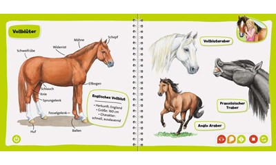 Pocket Wissen: Pferde
