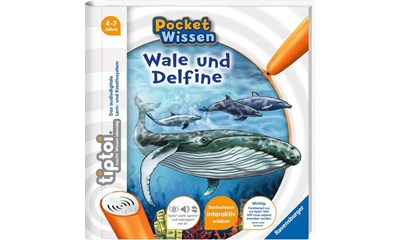 Pocket Wissen: Wale und Delfine